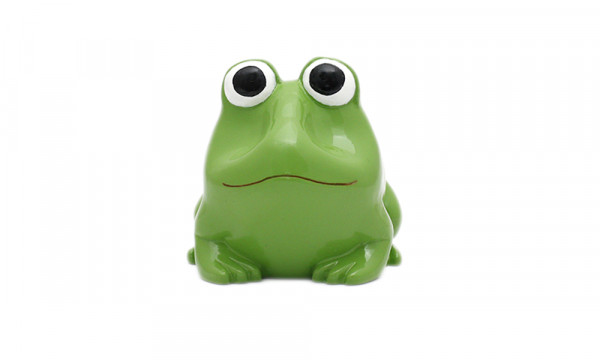 Brillenhalter - Motiv Frosch